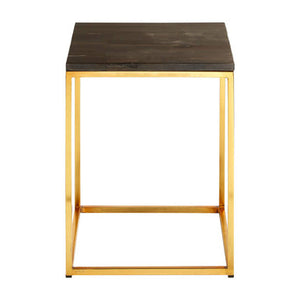 Relic Dark Petrified Wood and Brass Finish Square Side Table