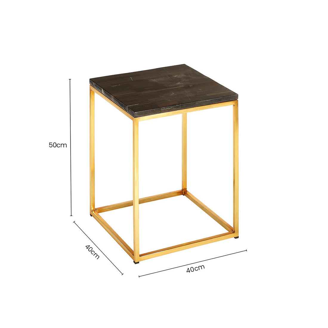 Black Petrified Wood Top Square Side Table with Gold Warm Brass Iron Base, Relic
