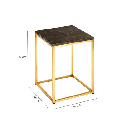 Black Petrified Wood Top Square Side Table with Gold Warm Brass Iron Base, Relic