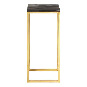 Relic Dark Petrified Wood and Brass Finish Tall Side Table
