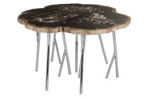 Relic Dark Petrified Wood Coffee Table