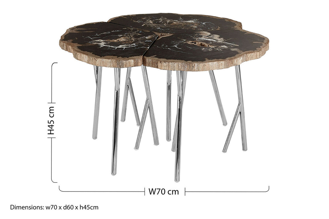 Relic Dark Petrified Wood Coffee Table