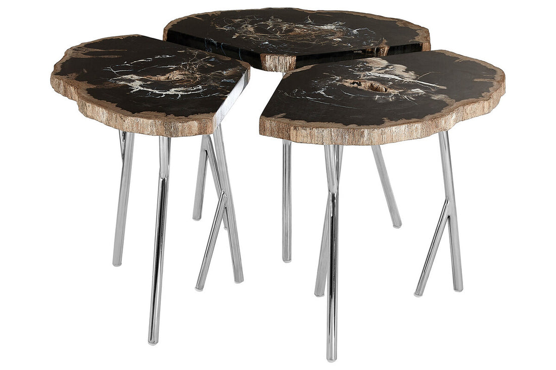 Relic Dark Petrified Wood Coffee Table