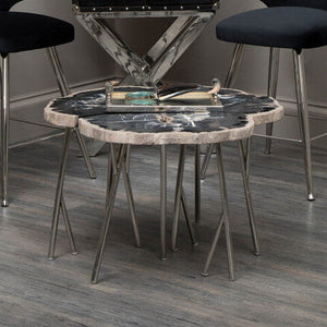 Relic Dark Petrified Wood Natural Edge Coffee Table