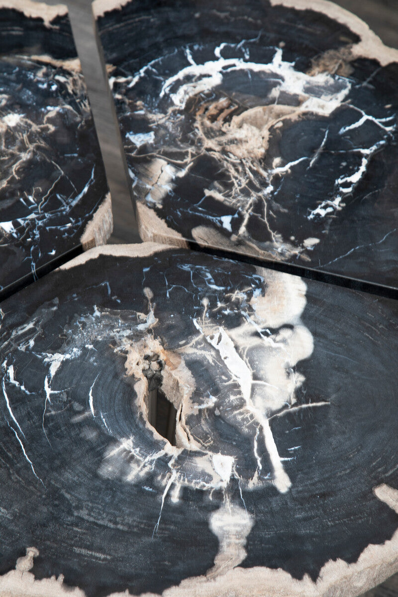Relic Dark Petrified Wood Coffee Table