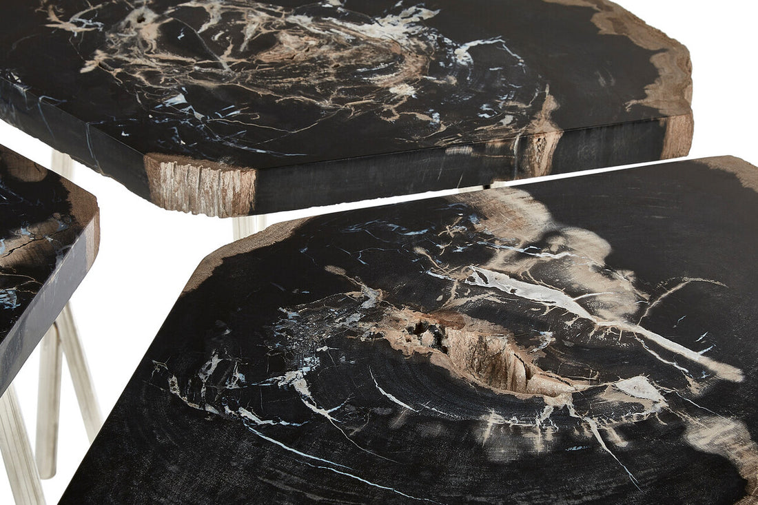 Relic Dark Petrified Wood Coffee Table