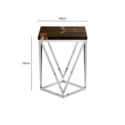 Dark Petrified Wood Side Table with Rustic Grained Top and Silver Stainless Steel Frame, Relic