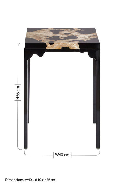 Relic Petrified Wood And Black Resin Side Table - Image 5