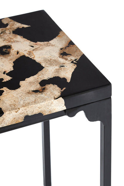Relic Petrified Wood And Black Resin Side Table - Image 3