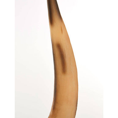 Boho Small Natural Horn Ornament - Image 7