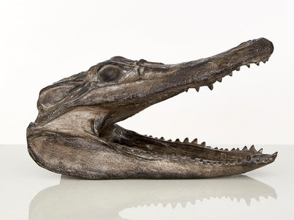 Boho Crocodile Head - Image 2