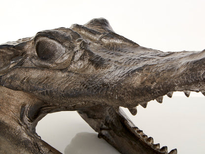 Boho Crocodile Head - Image 3