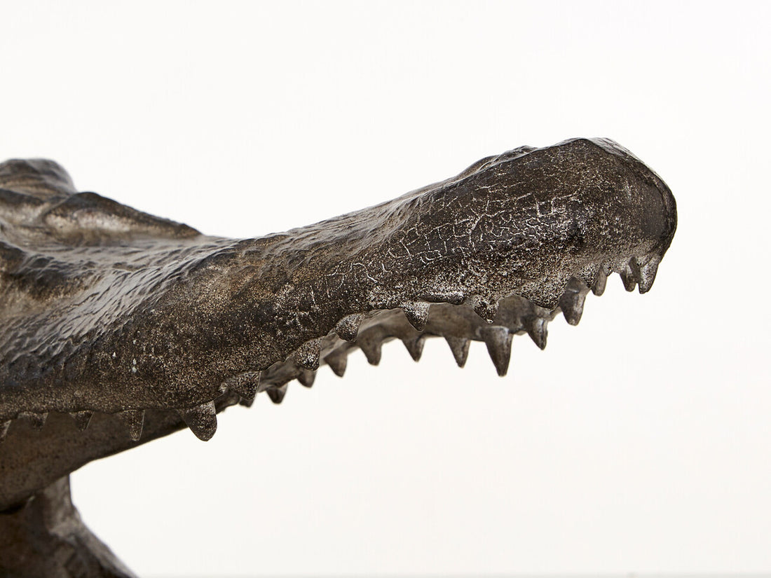 Boho Crocodile Head - Image 4