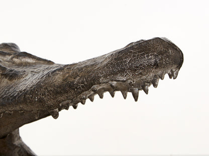 Boho Crocodile Head - Image 4