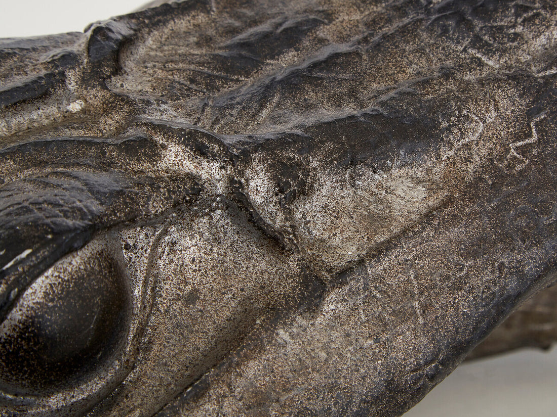 Boho Crocodile Head - Image 5