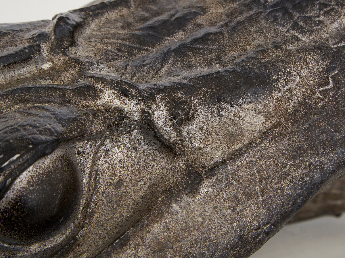 Boho Crocodile Head - Image 5