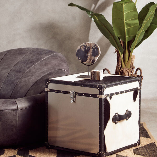 Relic Small Petrified Wood Sculpture