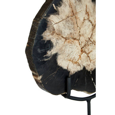 Relic Small Petrified Wood Sculpture