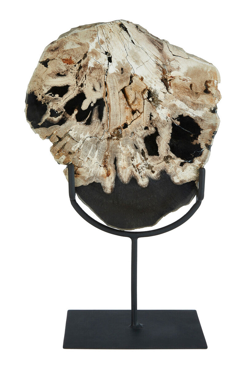 Relic Large Petrified Wood Sculpture - Image 1