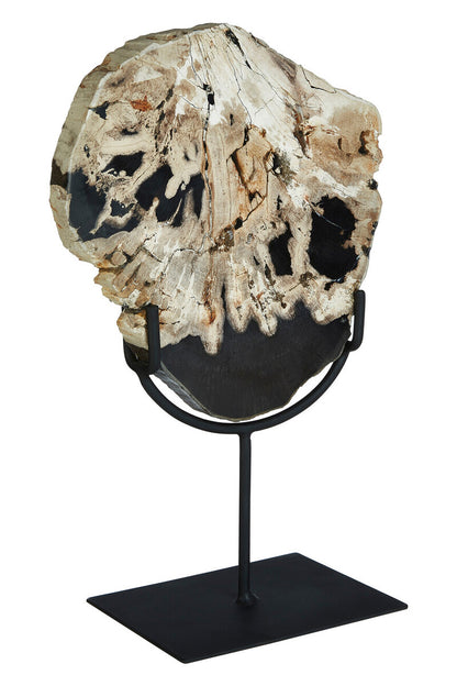 Relic Large Petrified Wood Sculpture - Image 3