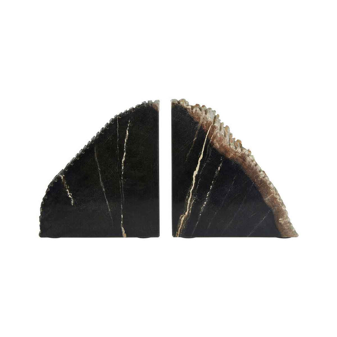 Relic Petrified Wood Bookend