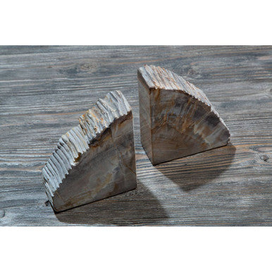 Relic Petrified Wood Bookend