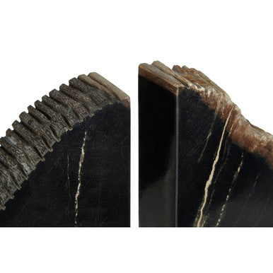 Relic Petrified Wood Bookend