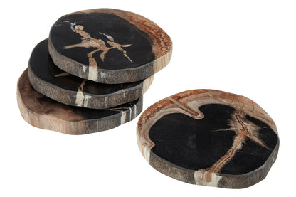 Relic Set Of 4 Petrified Wood Coasters - Image 8