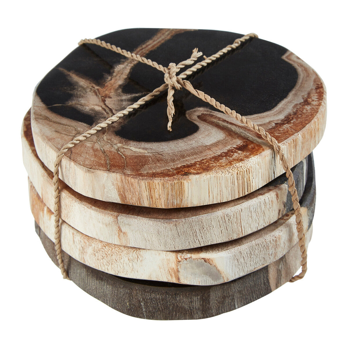 Relic Set Of 4 Petrified Wood Coasters - Image 1