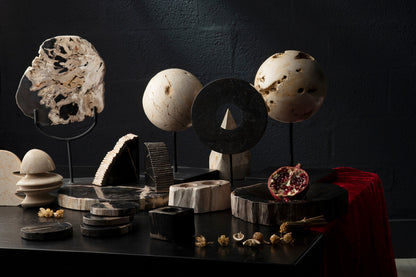 Relic Set Of 4 Petrified Wood Coasters - Image 4