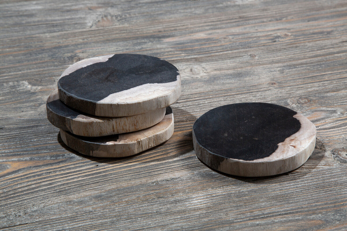 Relic Set Of 4 Petrified Wood Coasters - Image 3