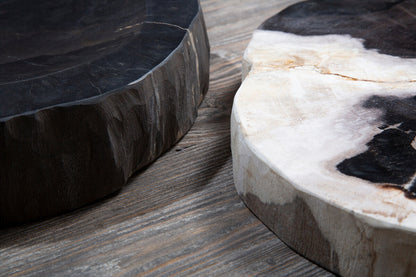 Relic Set Of 4 Petrified Wood Coasters - Image 5