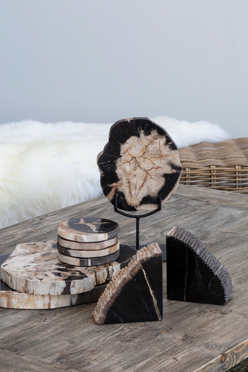 Relic Set Of 4 Petrified Wood Coasters - Image 6