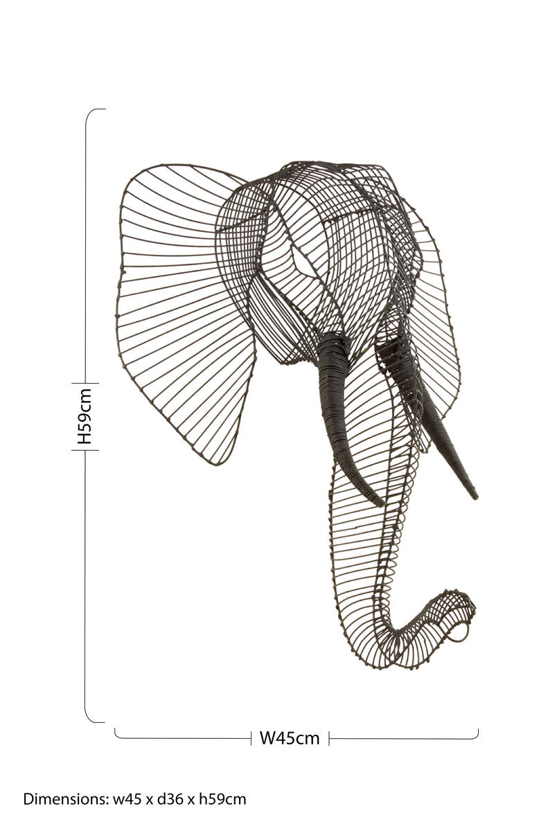 Zania Elephant Head - Image 5