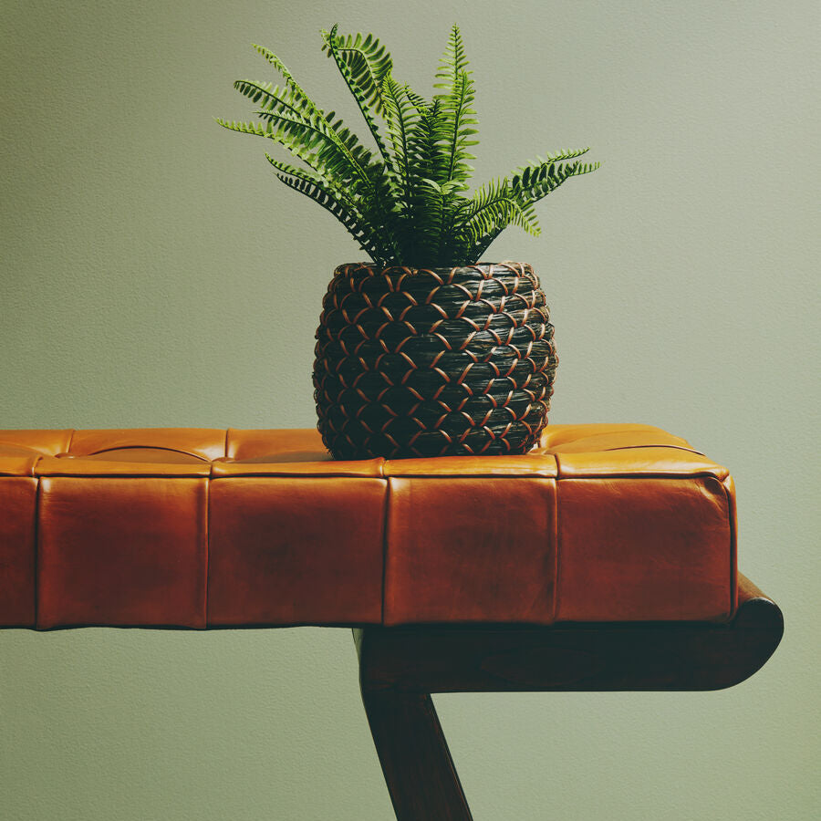 Potted plant on a brown leather bench against a green background
