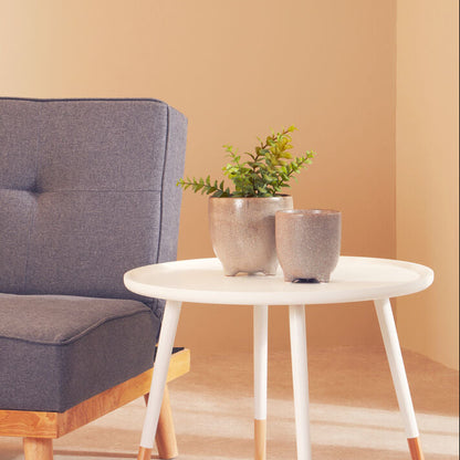 Gray sofa with a white side table and potted plants against a beige wall.
