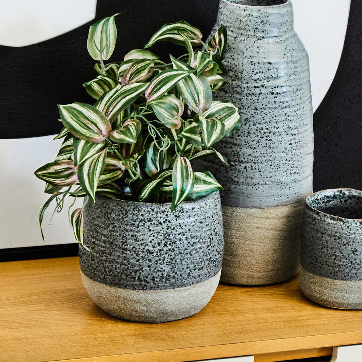 Three ceramic pots with a plant on a wooden surface against a black and white abstract background