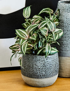 Caldera Grey Speckled Small Planter