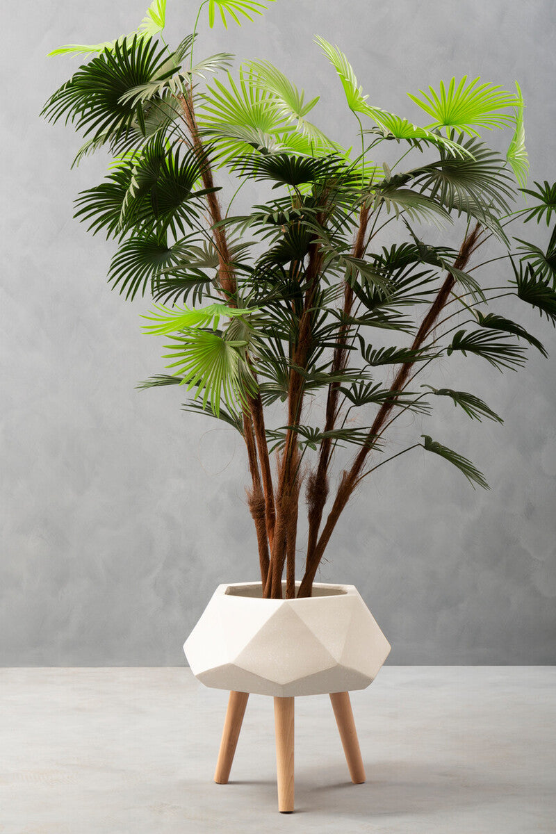 Potted plant with a geometric white pot on a gray background