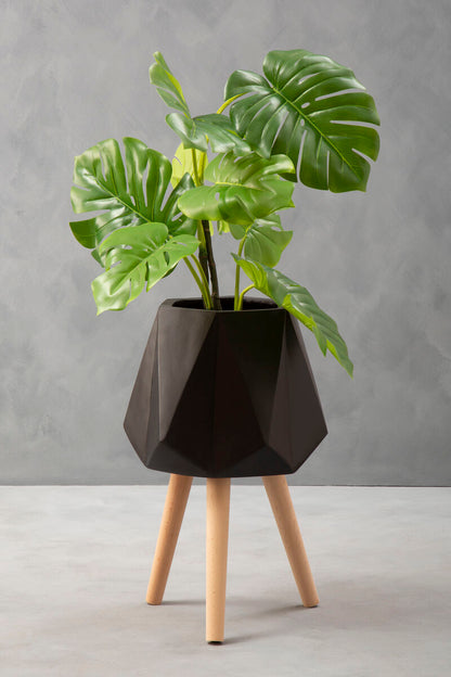 Geometric black planter with a plant on a gray background