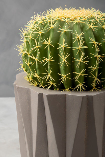 Green cactus with yellow spines in a pot on a gray background