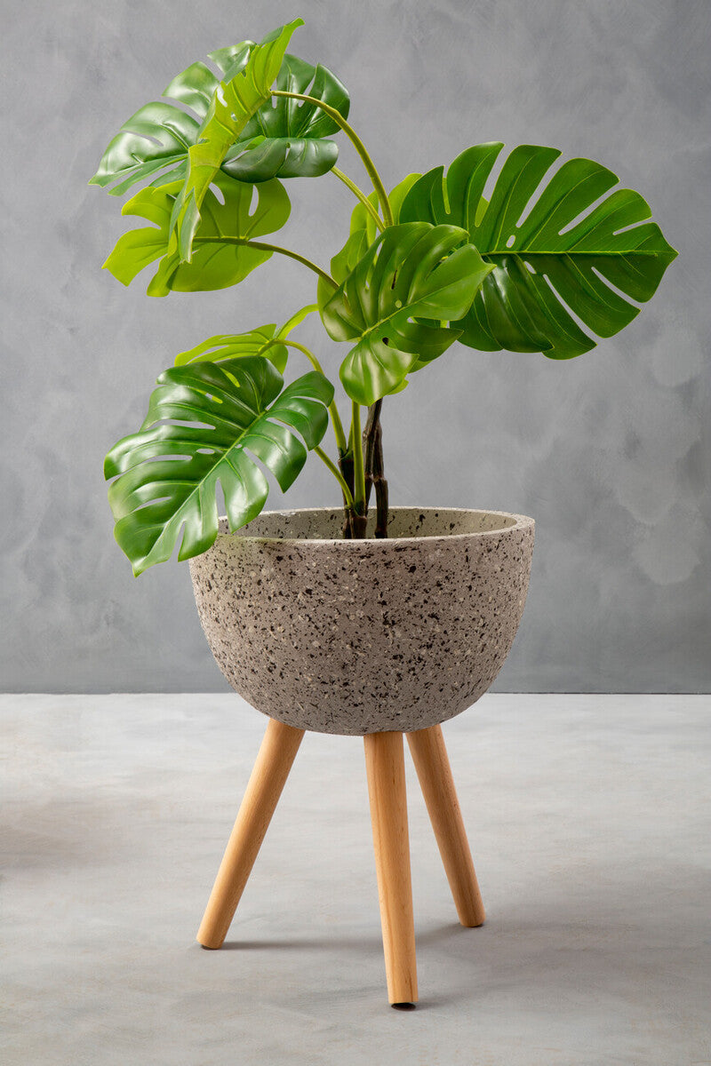 Green potted plant in a textured pot with wooden legs on a gray background