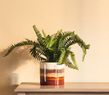 Wooden console table with a plant and basket against a beige wall