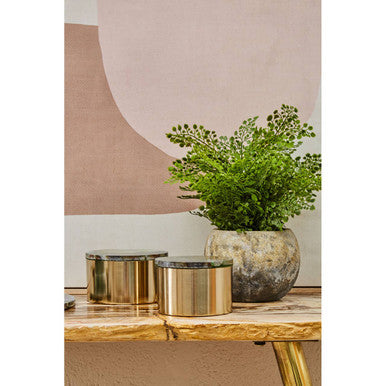 Bowerbird Small Trinket Box with Agate