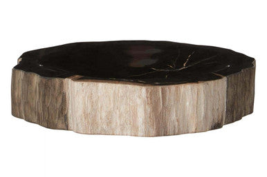 Relic Petrified Wood Bowl