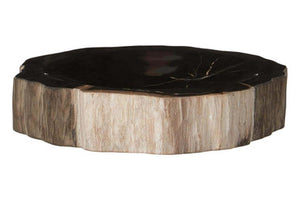 Relic Petrified Wood Bowl