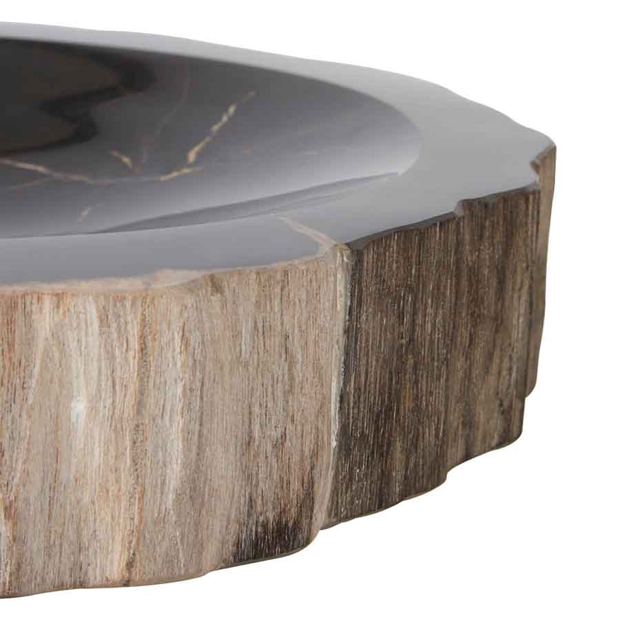 Relic Petrified Wood Bowl