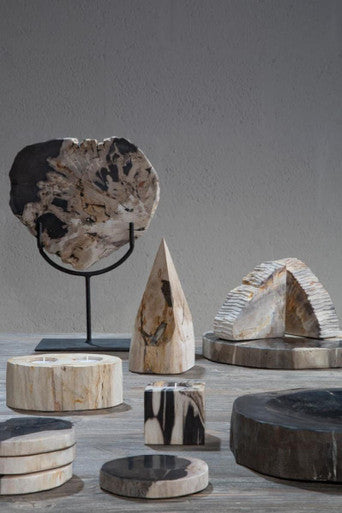 Relic Petrified Wood Bowl