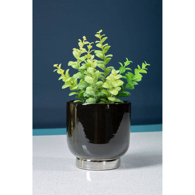 Callie Black Small Planter With Silver Finish Base.