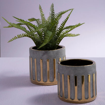 Two gray planters with a fern on a light gray background